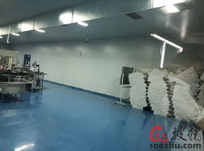 走進金海生物國際級工廠，領略世界級產品與技術服務的卓越魅力